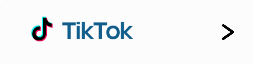Filtro por TikTok Ads